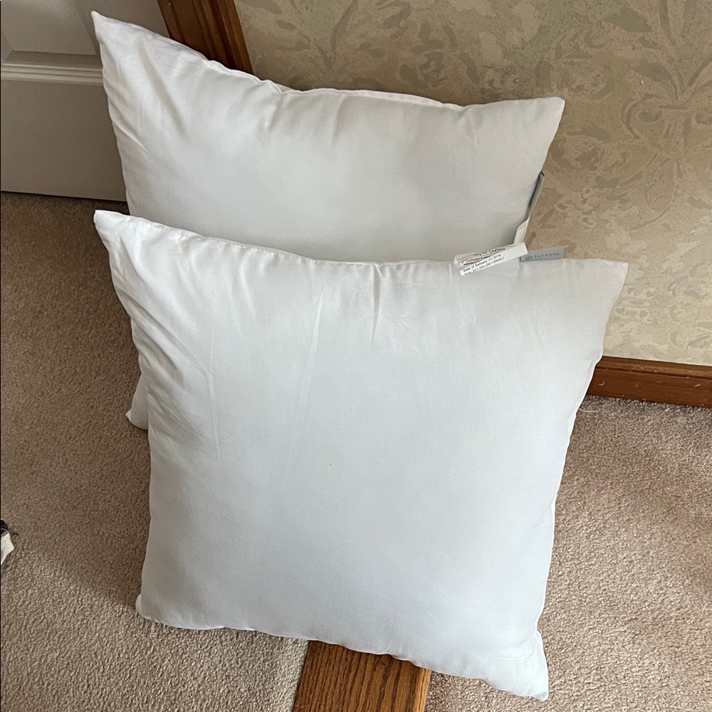 Luxury White Pillow Insert Set of 2